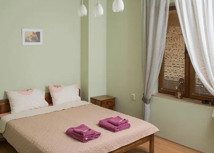 The Sunny Of Veliko Tarnovo-amazing View, Location